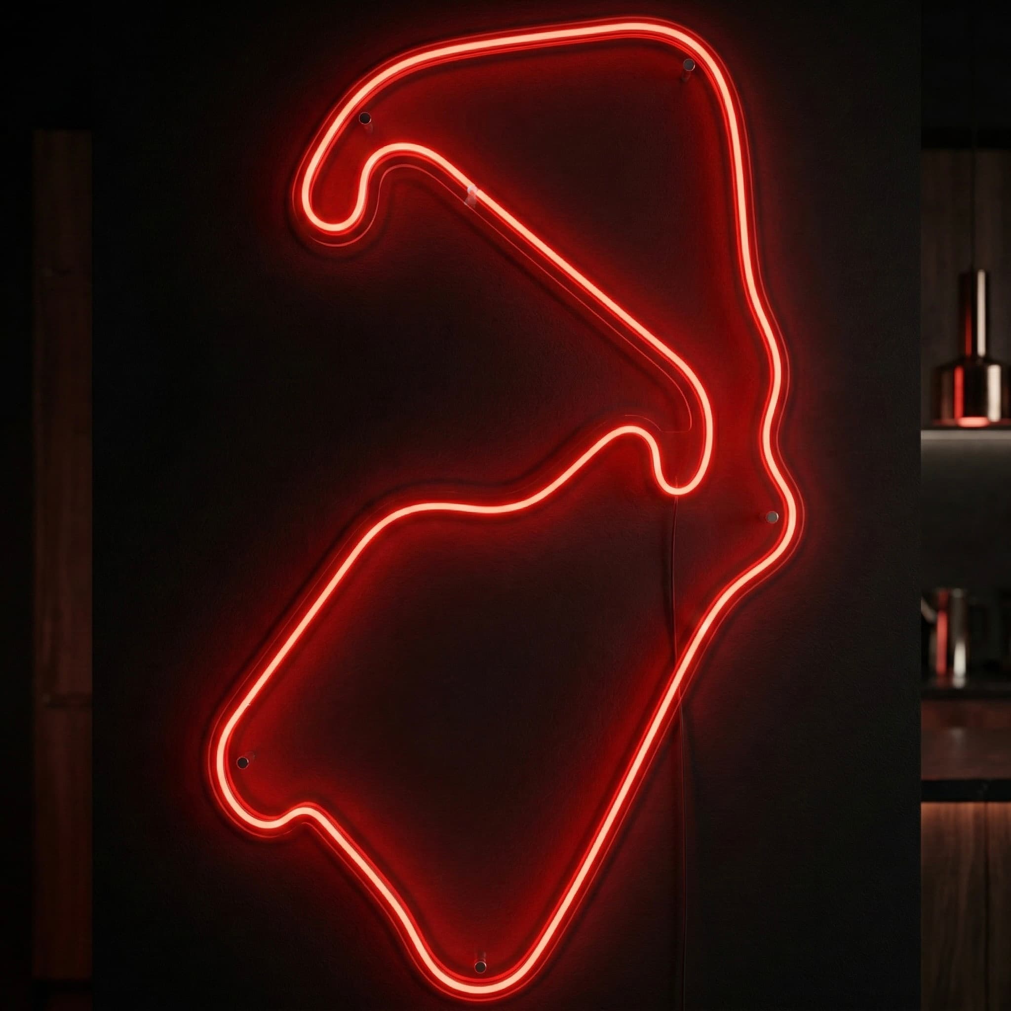 Silverstone circuit neon sign